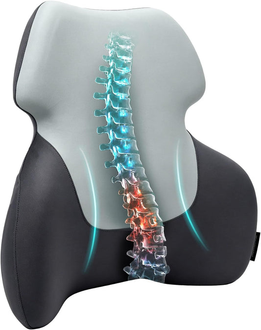 Season Guard Back Support Pillow, Lumbar Pain Relief Cushion for Office/Car