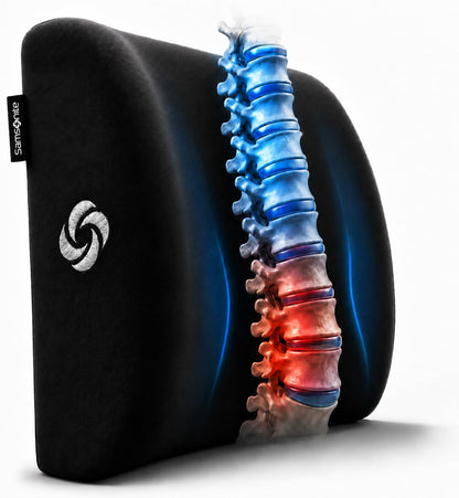 Samsonite Lumbar Support Pillow for Office Chair, Lower Back Support for Car, Back Pillow Desk Chair Cushion with Memory Foam, Improved Posture Backrest