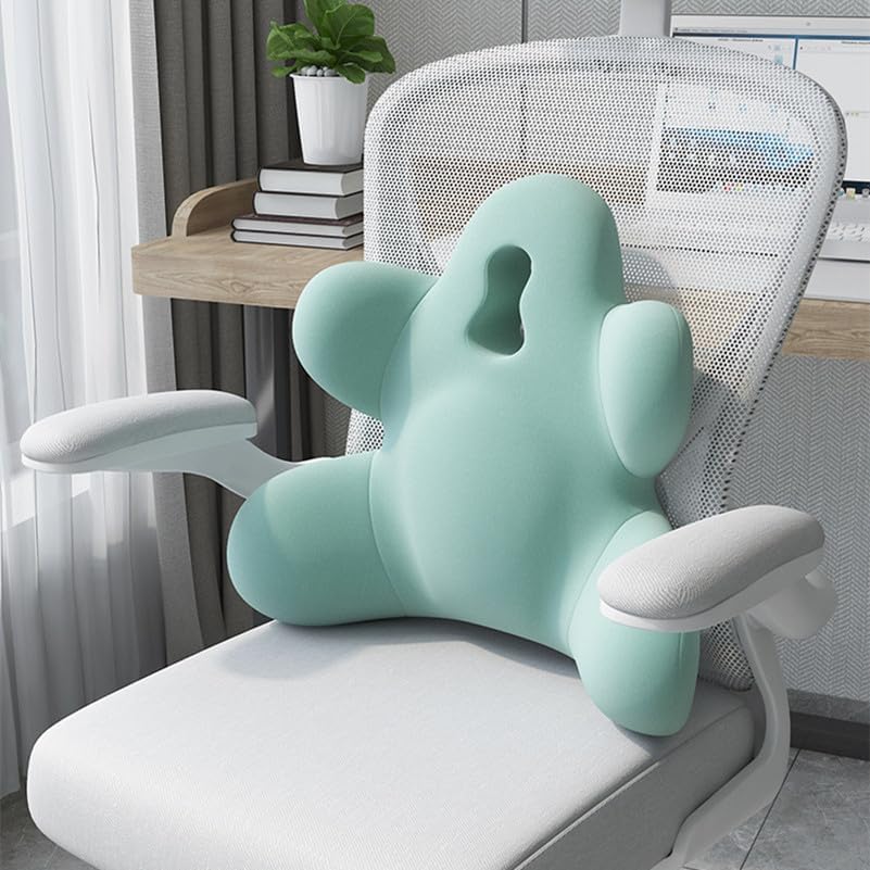 Lumbar Support Pillow for Office Chair, Back Support Pillow for Car, Chair
