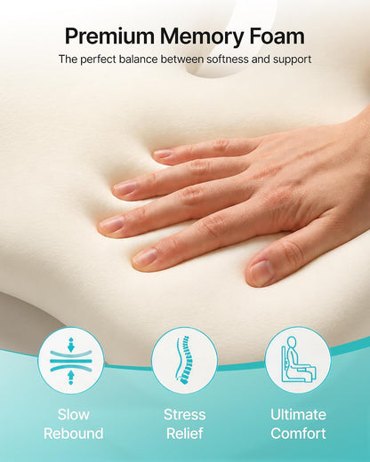 PEGZONE Seat Cushion with Lumbar Support, Memory Foam Cushion for Chair