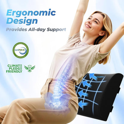 Lumbar Support Pillow, Ergonomic Back Cushion for Office , Black/X-Large