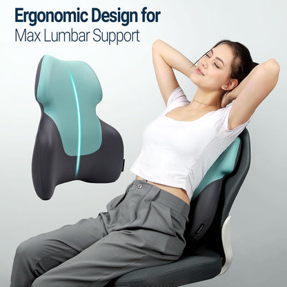 Season Guard Back Support Pillow, Lumbar Pain Relief Cushion for Office/Car
